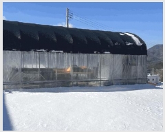  2024Ÿ2157  â 渲 ̸ 1310-31      ,â