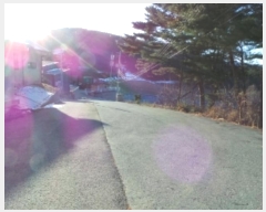  2024Ÿ2157  â 渲 ̸ 1310-31      ,â