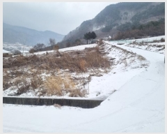  2024Ÿ2188  â ȭ ȹ̸ 933-4      (1)