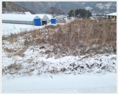  2024Ÿ2188  â ȭ ȹ̸ 933-4      (1)