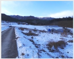  2024Ÿ2188  â ȭ ȹ̸ 933-4      (1)