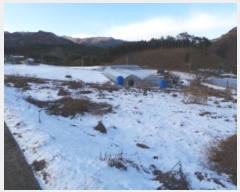  2024Ÿ2188  â ȭ ȹ̸ 933-4      (1)