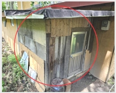  2024Ÿ31117    縮 157-8      ð