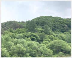  2024Ÿ31353  â   63-34      (1)