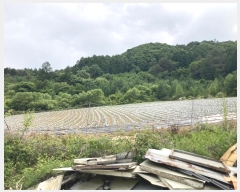  2024Ÿ31353  â   63-34      (1)