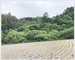  2024Ÿ31353  â   63-34      (1)