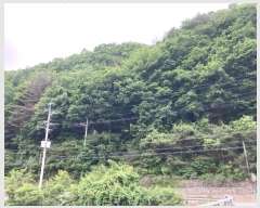  2024Ÿ31353  â   63-34      (1)