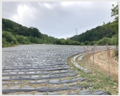  2024Ÿ31353  â   63-34      (1)