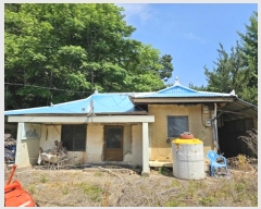  2024Ÿ��31407  â�����