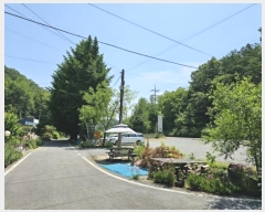  2024Ÿ��31407  â�����