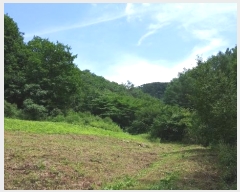  2024Ÿ31803     22      (1)