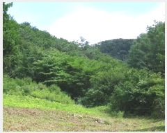  2024Ÿ31803     22      (1)