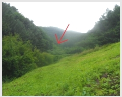  2024Ÿ31803     22      (1)