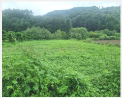  2024Ÿ��31940 ���� ��â�� ����� ���渮 800-1      ����(��)���