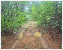  2024Ÿ��31940 ���� ��â�� ����� ���渮 800-1      ����(��)���