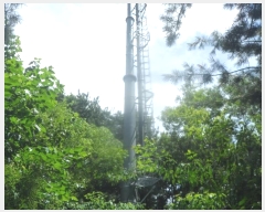  2024Ÿ��31940 ���� ��â�� ����� ���渮 800-1      ����(��)���