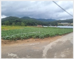  2024Ÿ��31940 ���� ��â�� ����� ���渮 800-1      ����(��)���