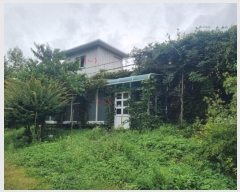  2024Ÿ��31995  ���ð��