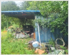  2024Ÿ��31995  ���ð��