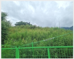  2024Ÿ��31995  ���ð��