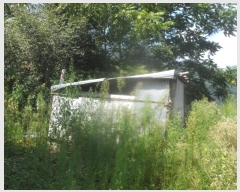  2024Ÿ��31995  ���ð��