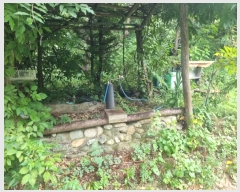  2024Ÿ��31995  ���ð��