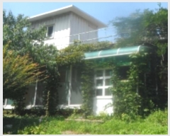  2024Ÿ��31995  ���ð��