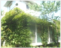  2024Ÿ��31995  ���ð��