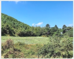  2024Ÿ32103  â θ  660-1      (1)