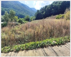  2024Ÿ32103  â θ  660-1      (1)