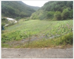  2024Ÿ32103  â θ  660-1      (1)