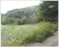  2024Ÿ32103  â θ  660-1      (1)