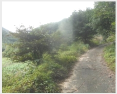  2024Ÿ32103  â θ  660-1      (1)