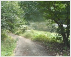  2024Ÿ32103  â θ  660-1      (1)