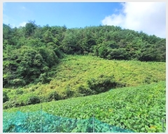  2024Ÿ32189     241      (1)