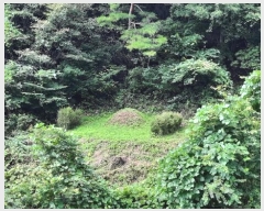  2024Ÿ32189     241      (1)