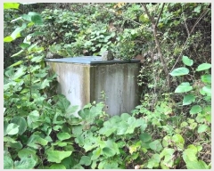  2024Ÿ32189     241      (1)