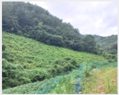  2024Ÿ32189     241      (1)