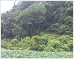  2024Ÿ32189     241      (1)