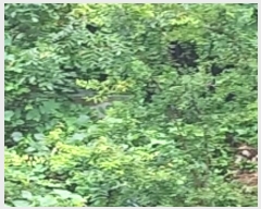  2024Ÿ32189     241      (1)