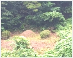  2024Ÿ32189     241      (1)