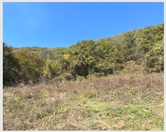  2024Ÿ32264    ź 281      (1)