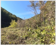  2024Ÿ32264    ź 281      (1)