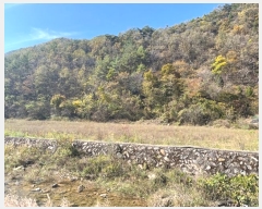  2024Ÿ32264    ź 281      (1)