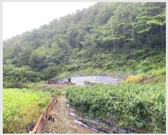  2024Ÿ32264    ź 281      (1)