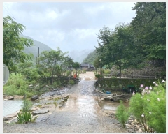  2024Ÿ32264    ź 281      (1)