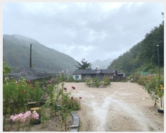  2024Ÿ32264    ź 281      (1)