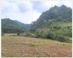  2024Ÿ32394    ȱ 773      (1)