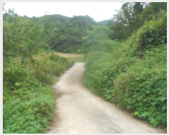  2024Ÿ32394    ȱ 773      (1)