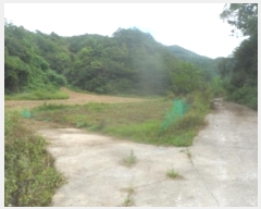  2024Ÿ32394    ȱ 773      (1)